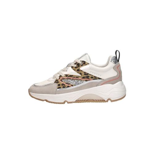 Baskets basses Cruyff Madina - Cruyff - Modalova