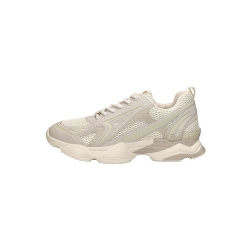Baskets basses Speedster-E - Steve Madden - Modalova