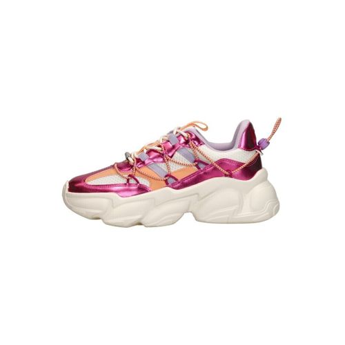 Baskets basses Spectator - Steve Madden - Modalova