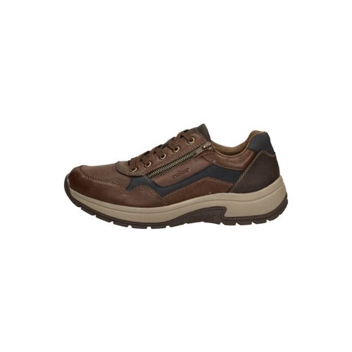 Baskets basses Veterschoenen Laag - Rieker - Modalova
