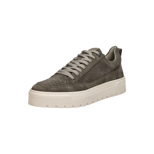 Baskets basses Sub55 Sneakers Laag - Sub55 - Modalova