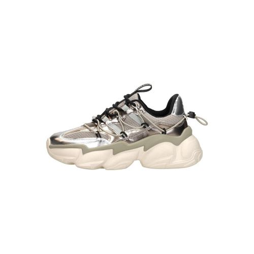 Baskets basses Spectator - Steve Madden - Modalova