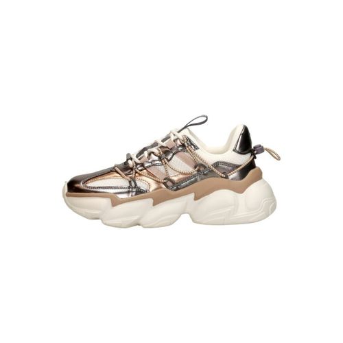 Baskets basses Spectator - Steve Madden - Modalova