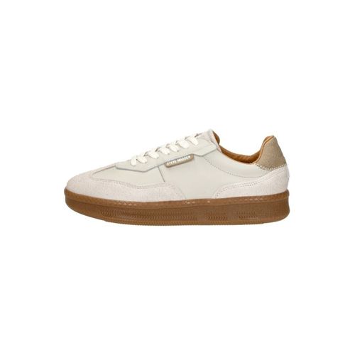 Baskets basses Euphoria - Steve Madden - Modalova