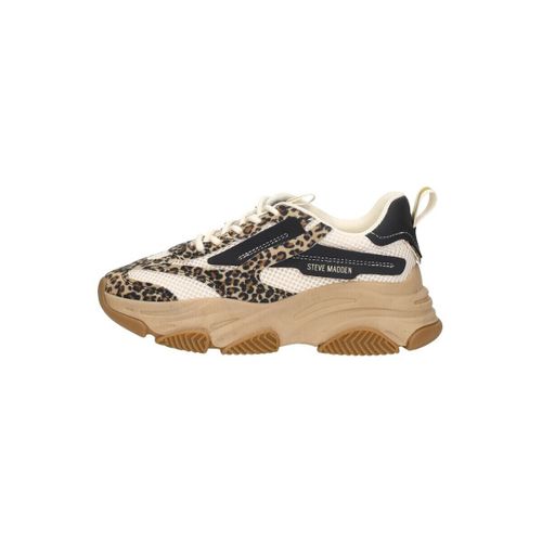 Baskets basses Jpossesion - Steve Madden - Modalova