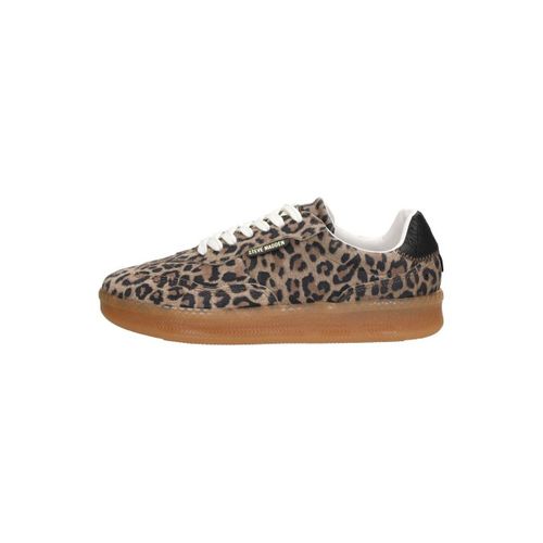 Baskets basses Euphoria - Steve Madden - Modalova