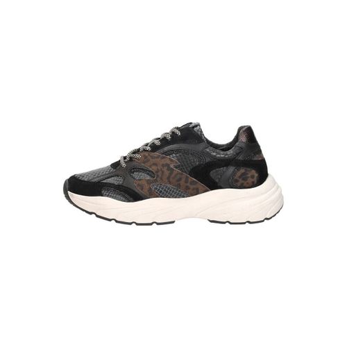 Baskets basses Sub55 Sneakers Laag - Sub55 - Modalova
