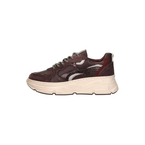 Baskets basses Sub55 Sneakers Laag - Sub55 - Modalova