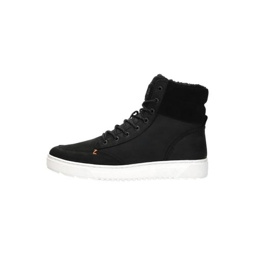 Baskets montantes Dublin 2.0 - Hub Footwear - Modalova