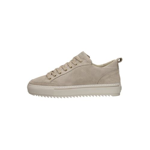Baskets basses Rehab Crash Sue - Rehab - Modalova