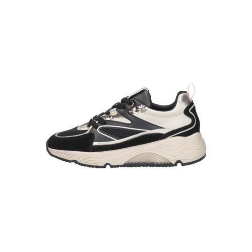 Baskets basses Cruyff Madina - Cruyff - Modalova