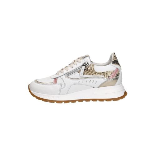 Baskets basses Piedi Nudi Mirren - Piedi Nudi - Modalova