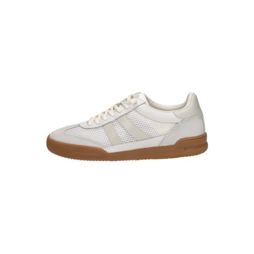 Baskets basses Steve Madden Verdict - Steve Madden - Modalova