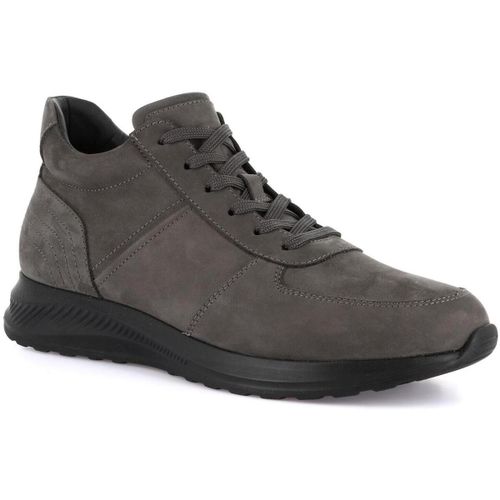 Baskets montantes DSG-PO1844 - Grunland - Modalova