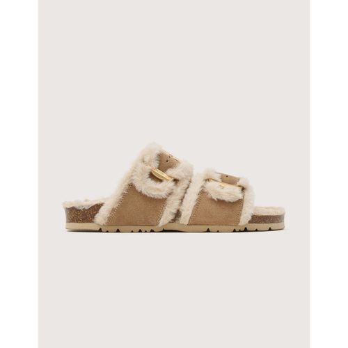 Chaussons Koala Bay Tempest - Koala Bay - Modalova