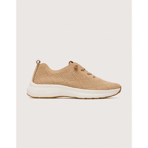 Baskets basses Koala Bay TUNNIGAN - Koala Bay - Modalova