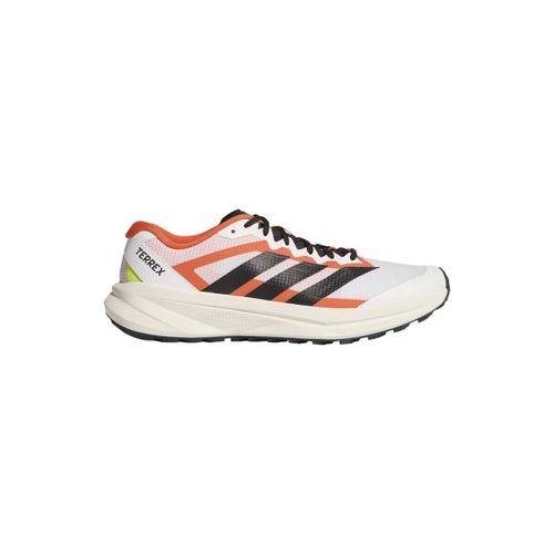 Baskets basses Terrex Agravic Lite - adidas - Modalova