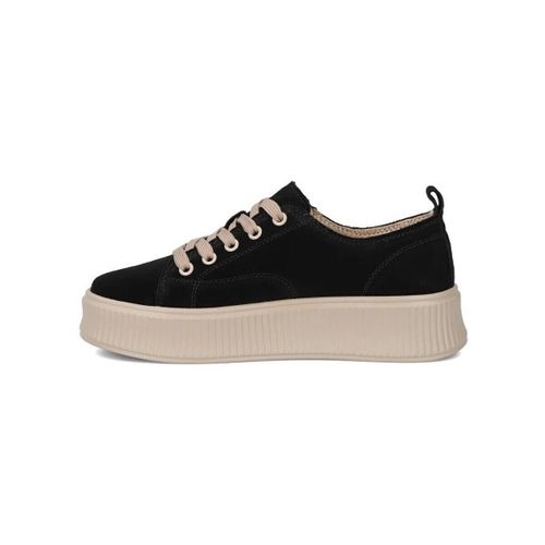 Baskets basses Filippo PAW692B - Filippo - Modalova