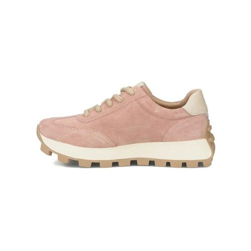 Baskets basses Filippo PAW751C - Filippo - Modalova