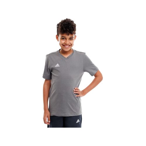 T-shirt t-shirt entrada 22 grey 152cm - adidas - Modalova
