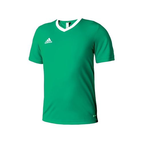 T-shirts sport T-shirt entrada 22 vert/white - adidas - Modalova