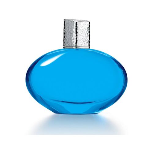 Eau de parfum Eau de Parfum Mediterranean - 100ml - Elizabeth Arden - Modalova
