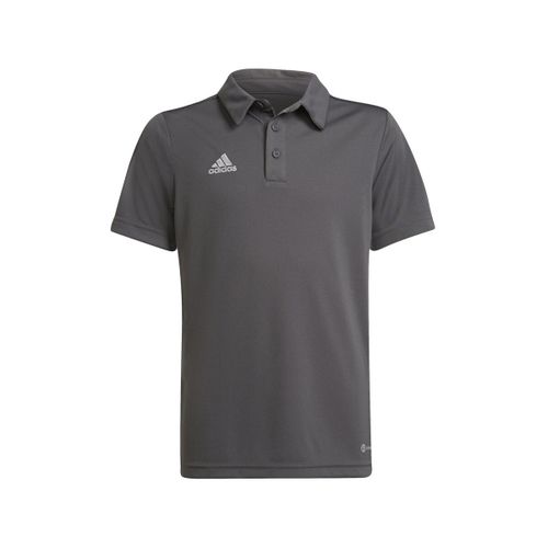 Polo Polo entrada 22 100% polyester recyclé - adidas - Modalova