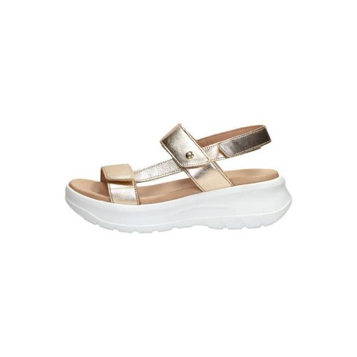 Sandales Panama Jack Noor - Panama Jack - Modalova