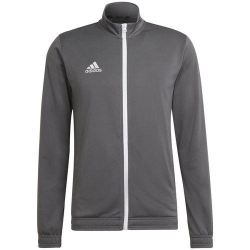 Veste adidas GT39009 - adidas - Modalova
