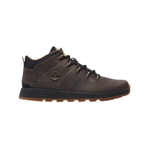 Baskets basses Baskets Sprint Trekker cuir - Timberland - Modalova