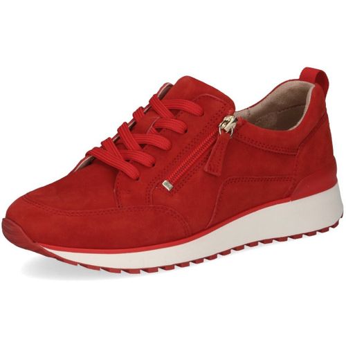 Baskets basses Caprice - Caprice - Modalova