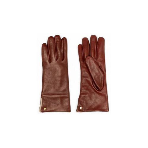 Cravates et accessoires 11127na13695 - Gianni Chiarini - Modalova