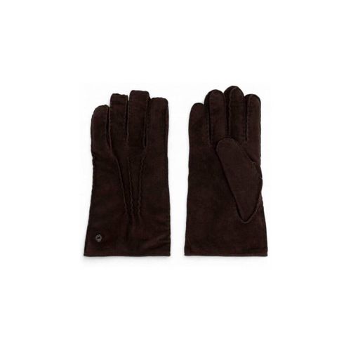 Cravates et accessoires 11126cm13686 - Gianni Chiarini - Modalova