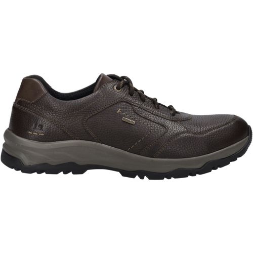 Chaussures Josef Seibel Leroy 60 - Josef Seibel - Modalova