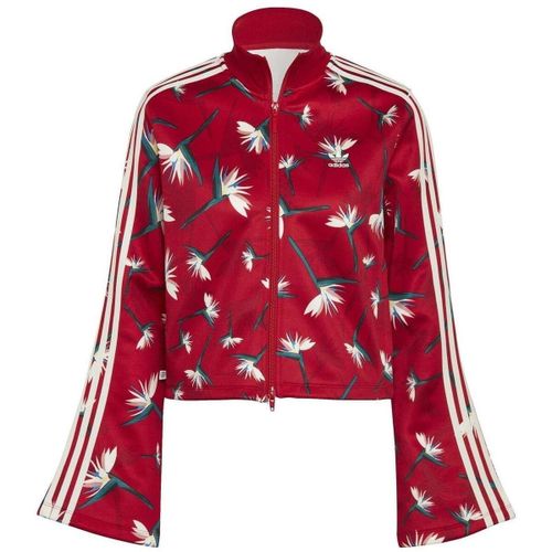 Veste adidas Originals - adidas - Modalova