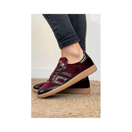 Baskets - Sneakers CLOUD Bordeaux - Back 70 - Modalova