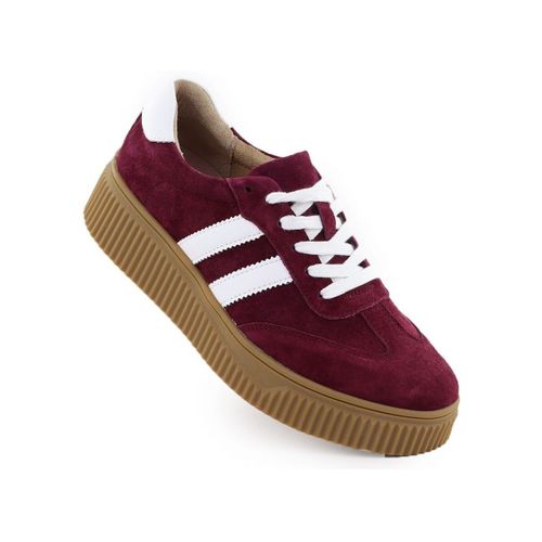 Baskets basses Filippo PAW641A - Filippo - Modalova
