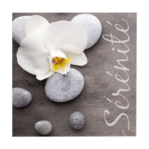 Tableaux, toiles Lot de 20 serviettes papier serenite - U10 - Modalova
