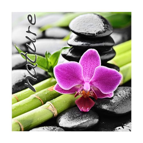 Serviettes de table Lot de 20 serviettes papier Zen nature - U10 - Modalova