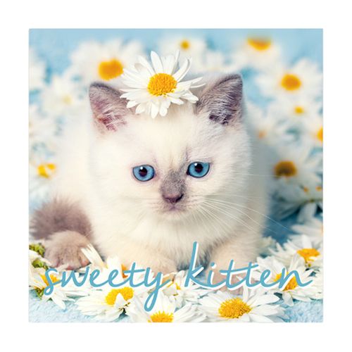 Affiches, posters Lot de 20 serviettes papier sweety cat - U10 - Modalova