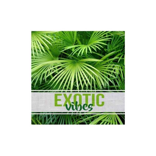 Affiches, posters Lot de 20 serviettes papier Exotic - U10 - Modalova