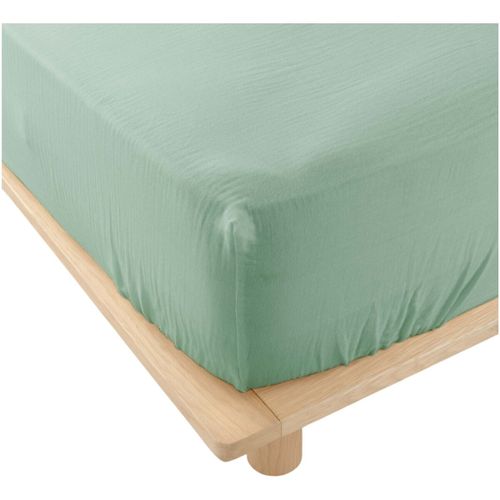 Draps housse Drap housse en gaze de coton Tendance uni - U10 - Modalova