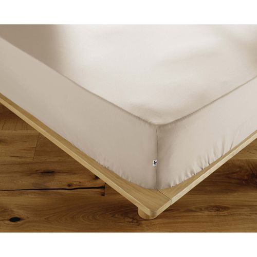 Draps housse Drap Housse percale de coton Perrine - Actome - Modalova