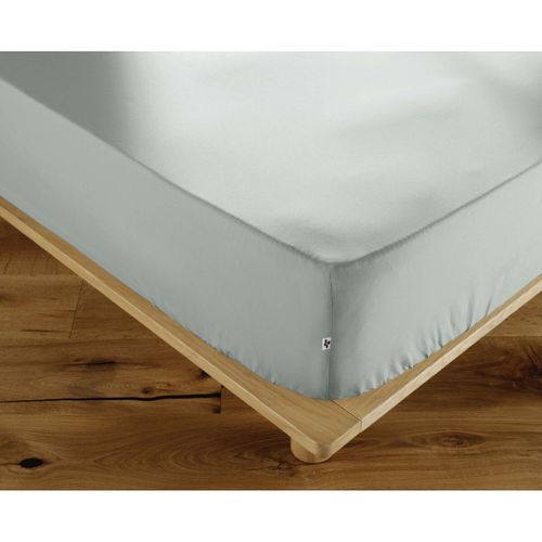 Draps housse Drap Housse percale de coton Perrine - Actome - Modalova
