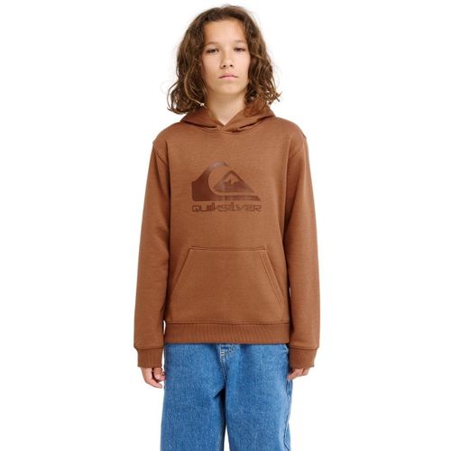 Sweatshirts à capuche Comp Logo - Quiksilver - Modalova