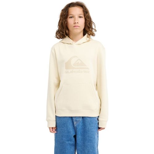 Sweatshirts à capuche Comp Logo - Quiksilver - Modalova