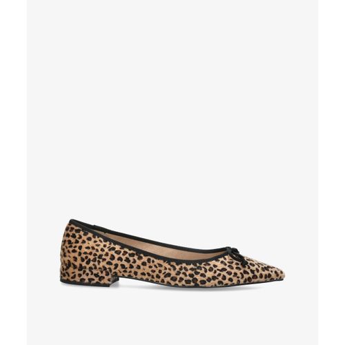 Ballerines Corina M6560 - Corina - Modalova