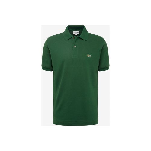 Polo Lacoste - Lacoste - Modalova