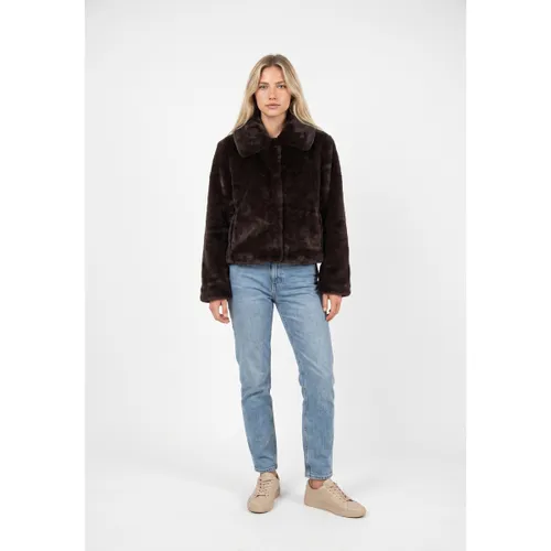Blouson Morgan 262-gdolce - Morgan - Modalova