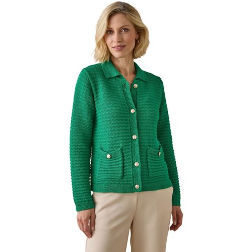 Gilet Daxon Gilet veste col polo - Daxon - Modalova